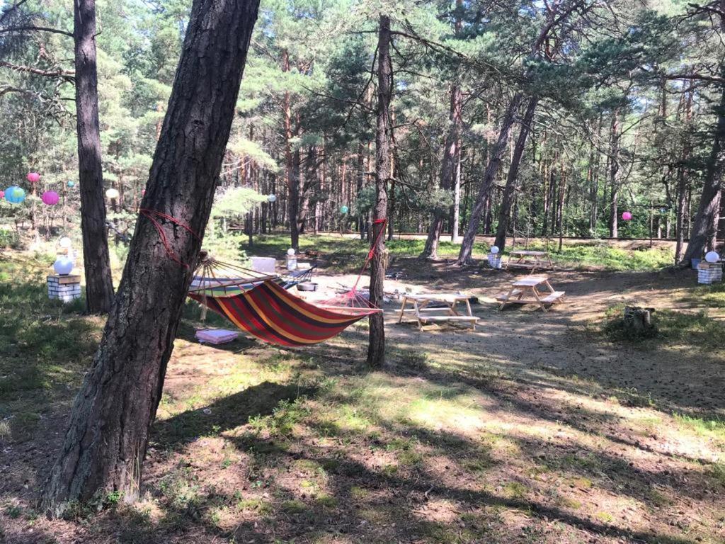 Your Camp Kormoran Campingplatz *