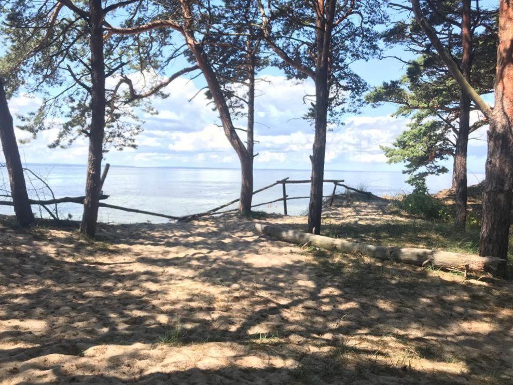 Campingplatz Your Camp Kormoran *